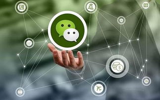 面條營銷顧問 運(yùn)用互聯(lián)網(wǎng)技術(shù)，四種打通渠道的策略詳解